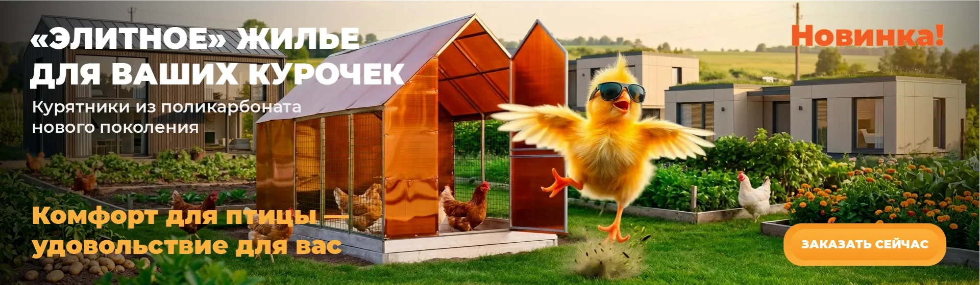 курятник_desctop